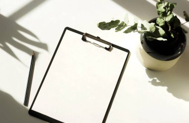 çalışma alanı boş not defteri ve beyaz zemin üzerine yeşil bitki ile 