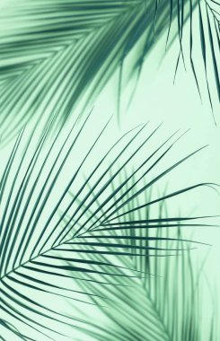 bitkilerin yeşil zemin üzerine yeşil yaprakları ile