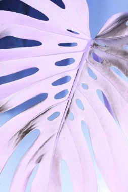 yaratıcı çiçek arka plan görünümünü kapat