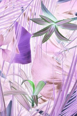 yaratıcı çiçek arka plan görünümünü kapat