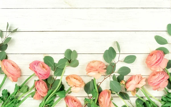 Pohled Shora Krásné Růžové Pryskyřník Květiny Zelené Listy Bílém Pozadí — Stock fotografie