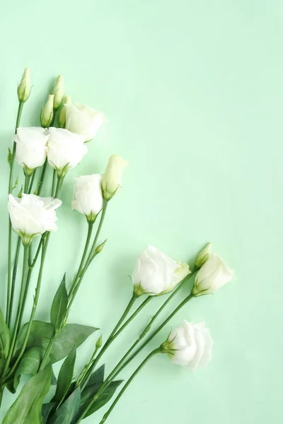 Vista Superior Belas Flores Eustoma Branco Fundo Verde — Fotografia de Stock