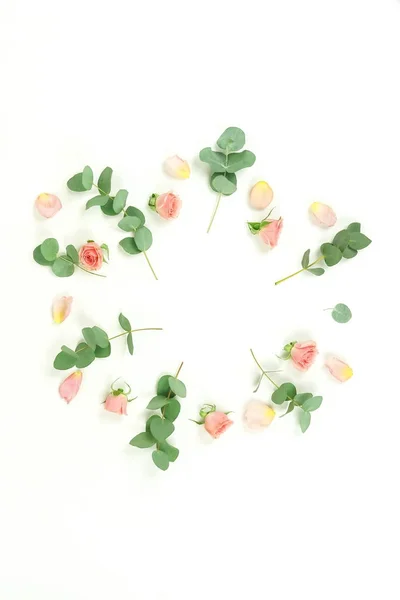 Galhos Eucalipto Verde Rosas Rosa Sobre Fundo Branco — Fotografia de Stock