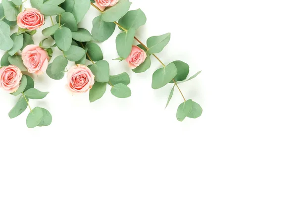 Зеленые Эвкалиптовые Ветки Розовые Розы Белом Фоне — стоковое фото