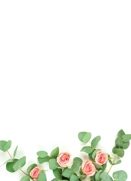 green eucalyptus twigs and pink roses on white background