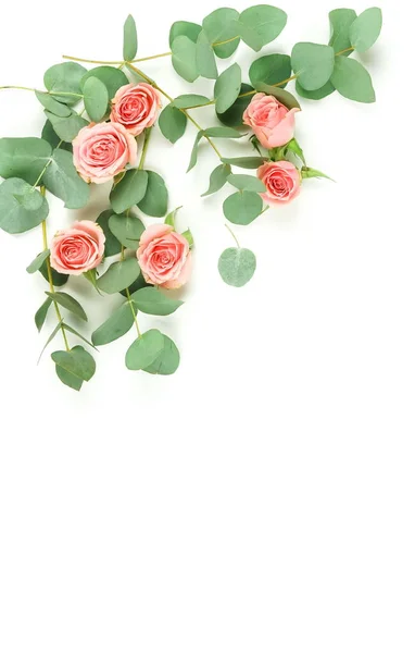 Green Eucalyptus Twigs Pink Roses White Background — Stock Photo, Image