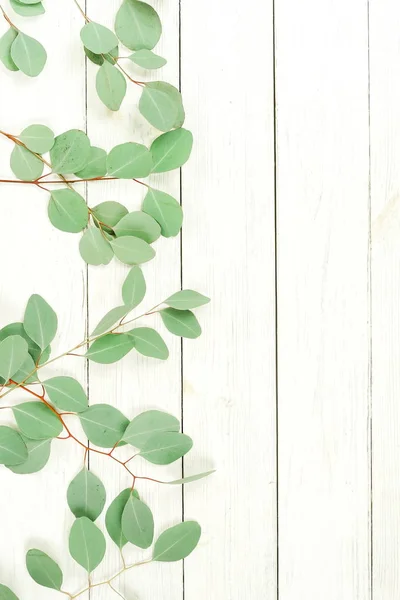 Green Eucalyptus Twigs White Wooden Background — Stock Photo, Image