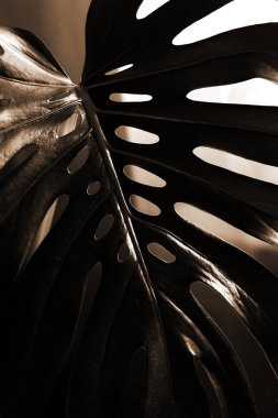 yaratıcı çiçek arka plan görünümünü kapat