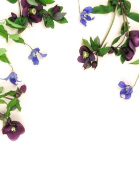 güzel çiçek beyaz zemin üzerine düzenlenmiş Üstten Görünüm