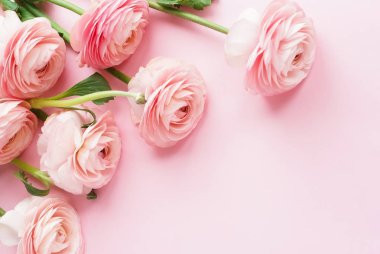 güzel tipik çiçekler pembe bir arka plan üzerinde