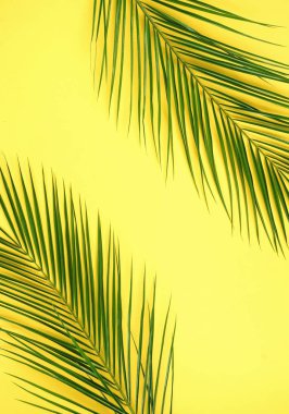 bitkiler Sarı zemin üzerine yeşil yaprakları ile