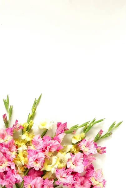 Beyaz Zemin Üzerine Güzel Çiçekler Üstten Görünüm — Stok fotoğraf