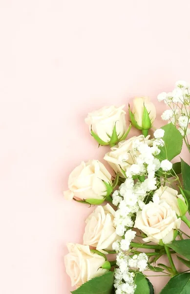 Belas Rosas Brancas Dispostas Sobre Fundo Rosa — Fotografia de Stock