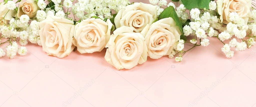 beautiful white roses arranged on pink background