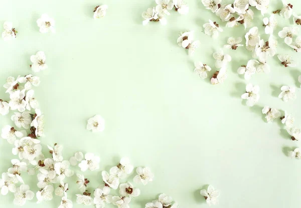 beautiful white flowers arranged on green background