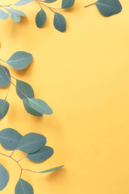 Sarı zemin üzerine yeşil okaliptüs dal