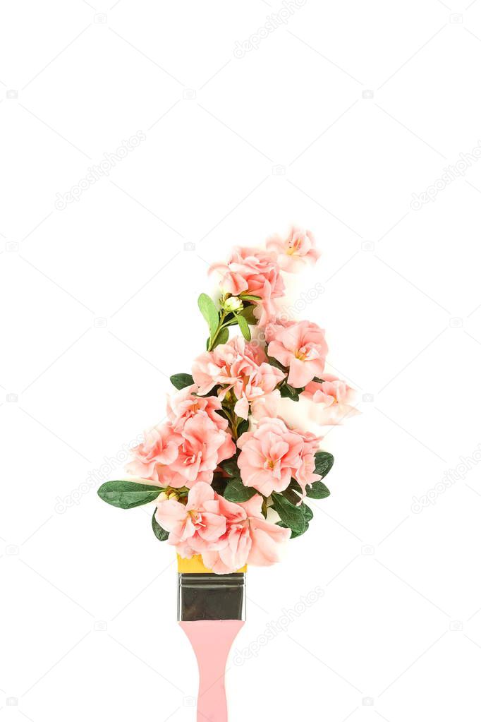 top view of beautiful pink flowers and brush on white background