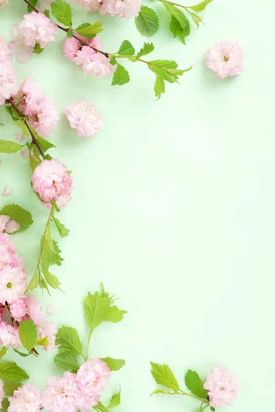 Bloemen Samenstelling Achtergrond Mooie Roze Sakura Bloemen Bleke Groene Achtergrond — Stockfoto