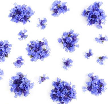 beyaz zemin üzerine güzel çiçekler Üstten Görünüm