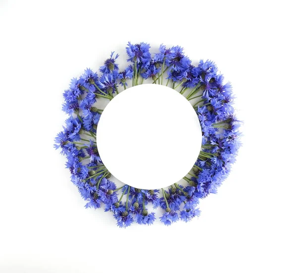 Felülnézet Gyönyörű Virágok Fehér Háttér — Stock Fotó