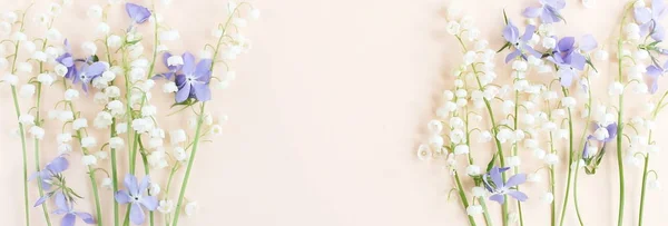 Felülnézet Gyönyörű Virágok Bézs Háttér — Stock Fotó