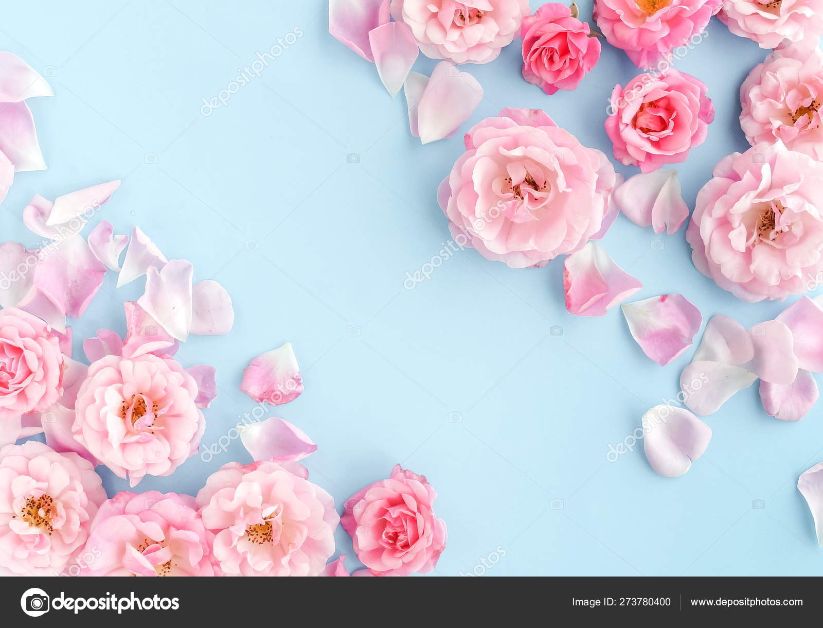 トップス BLUR PINK FLOWERS SEE-THROUGH TOPS Women's Long Sleeve Mesh Top Pink Flower Floral See Through