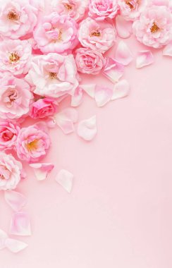 pembe arka plan üzerinde güzel pembe çiçekler üst görünümü