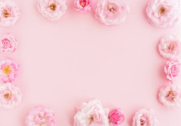 Вид Красивые Розовые Цветы Розовом Фоне — стоковое фото