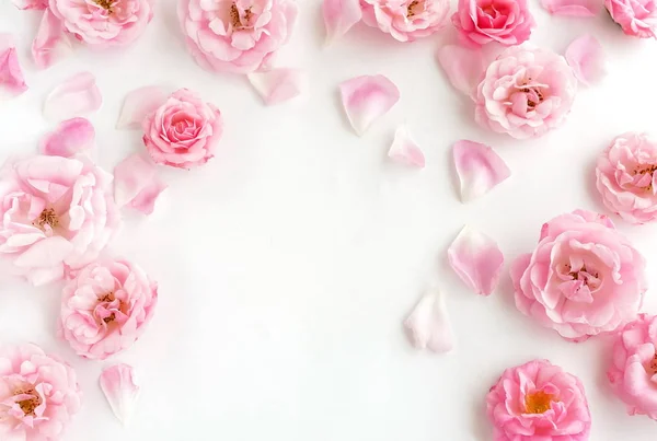 Felső Kilátás Gyönyörű Rózsaszín Virágok Fehér Háttér — Stock Fotó