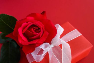 güzel kırmızı çiçek ve kırmızı arka plan üzerinde hediye yakın görünümü