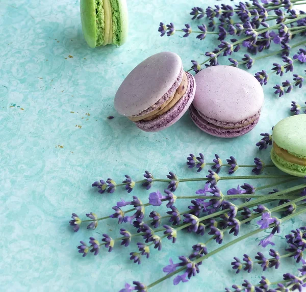 Nahaufnahme Von Schönen Lavendelblüten Und Macarons Auf Blauem Hintergrund — Stockfoto