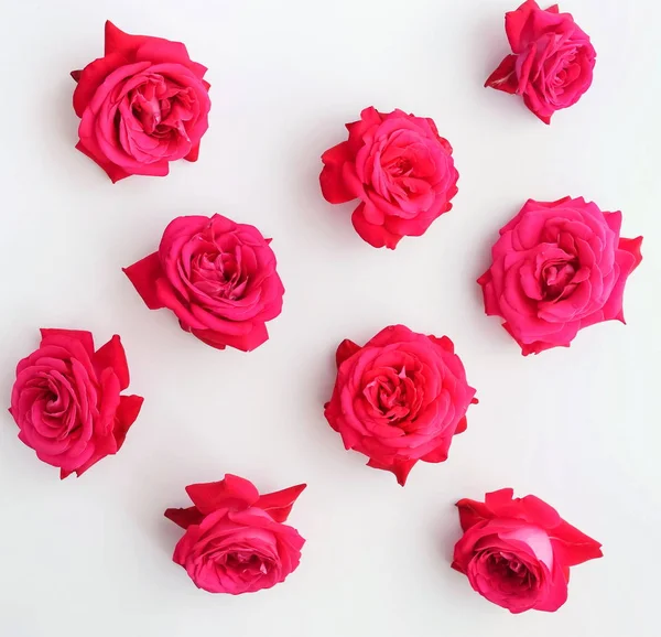 Top View Beautiful Roses White Background — Stock Photo, Image