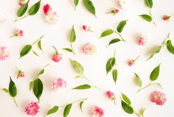 Folhas Verdes Flores Dispostas Sobre Fundo Branco — Fotografia de Stock