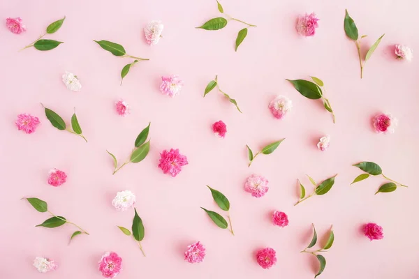 Folhas Verdes Flores Dispostas Sobre Fundo Rosa — Fotografia de Stock