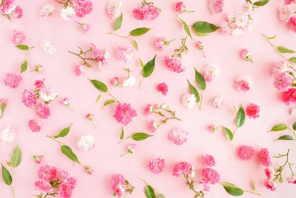 yeşil yapraklar ve çiçekler pembe arka plan üzerinde düzenlenmiş