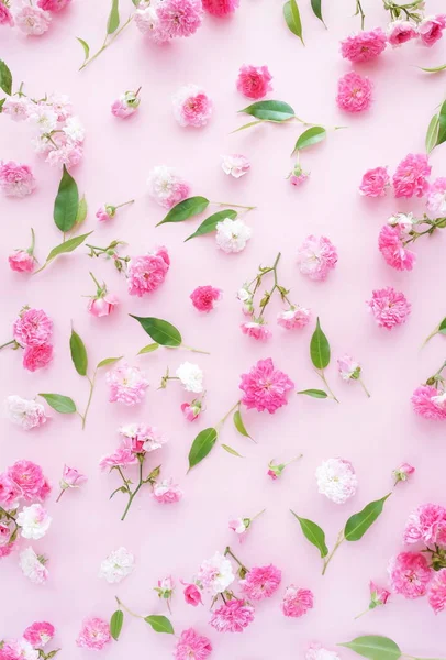 Hojas Verdes Flores Dispuestas Sobre Fondo Rosa —  Fotos de Stock