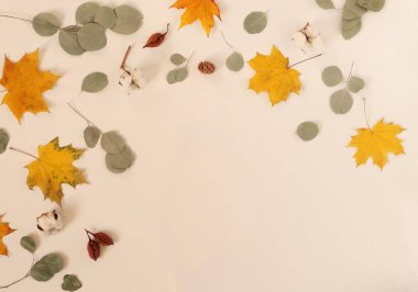 kuru düşmüş yapraklar hafif arka plan üzerinde düzenlenmiş