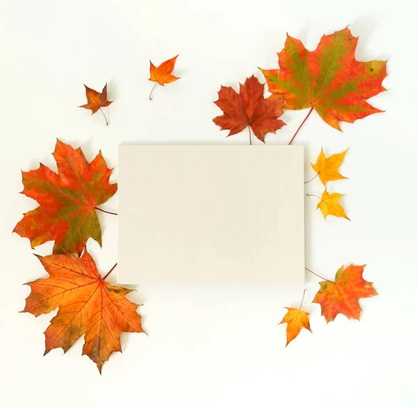 dried fallen leaves and blank paper arranged on light background