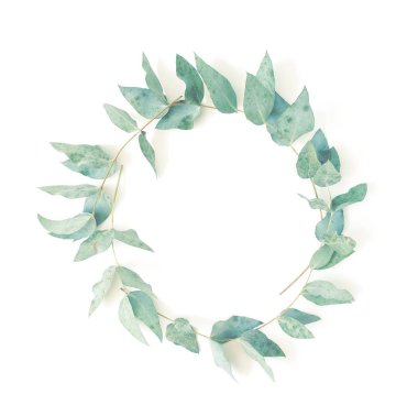 Beyaz arka plan üst görünümünde yeşil okaliptüs yapraklarından çelenk. çiçek kartı minimal kavramı. kopya alanı. düz yatıyordu