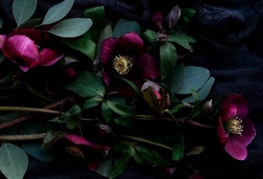 Mor çiçekler ve koyu yapraklar