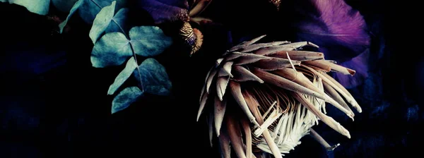 Прапор Темних Екзотичних Квітів Листя Чорному Тлі Крупним Планом Повністю — стокове фото