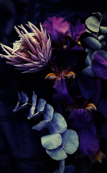 Flores Exóticas Oscuras Hojas Sobre Fondo Negro Cerca Marco Completo — Foto de Stock