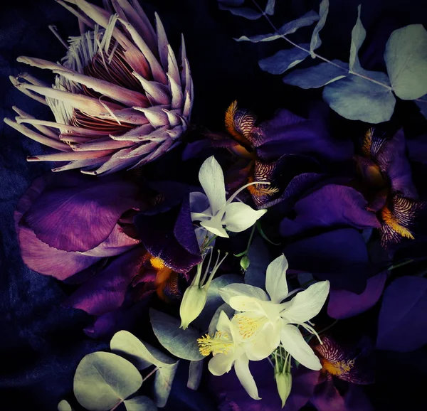 Flores Exóticas Oscuras Hojas Sobre Fondo Negro Cerca Marco Completo — Foto de Stock
