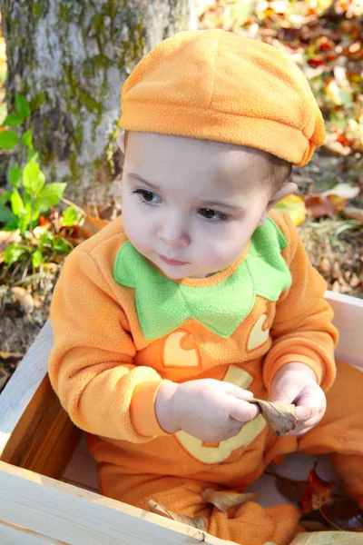 Abóbora de Halloween — Fotografia de Stock