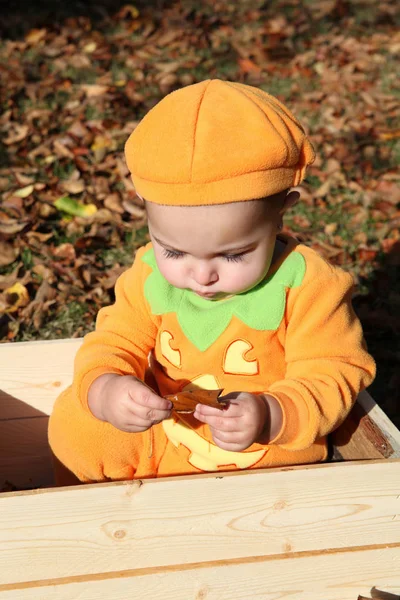 Abóbora de Halloween — Fotografia de Stock