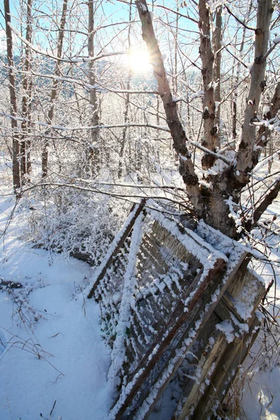 Portas nevadas — Fotografia de Stock