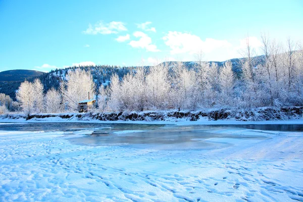Замерзла річка Стокове Фото