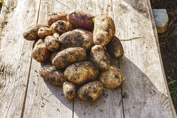 taze patates kazdık.