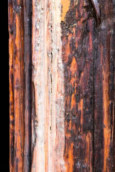 Textura Madera Vieja Con Los Agujeros Lombriz — Foto de Stock