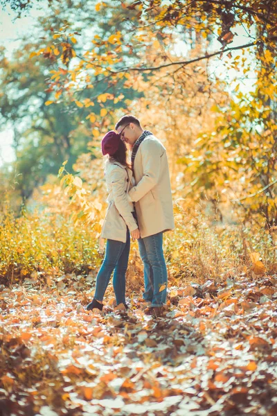 Casal Amoroso Livre Abraçando Beijando Parque Outono — Fotografia de Stock